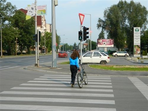 Велосипед на пат, може да управува лице кое наполнило: